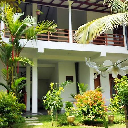 Splendid Lodge Mirissa Exterior foto